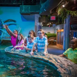 Catawba Science Center - Hickory