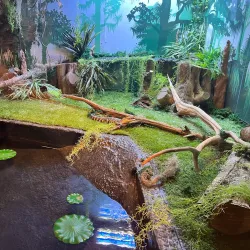 Catawba Science Center - Hickory