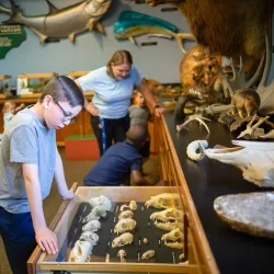 Catawba Science Center - Hickory
