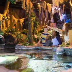 Catawba Science Center - Hickory