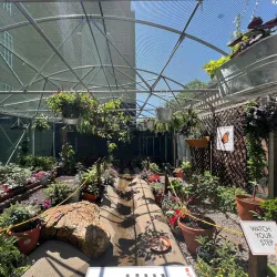 Catawba Science Center - Hickory