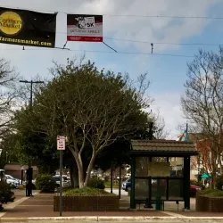 Hickory Farmers Market - Hickory