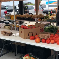 Hickory Farmers Market - Hickory