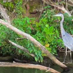 Lake Hickory - Hickory