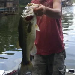 Lake Hickory - Hickory