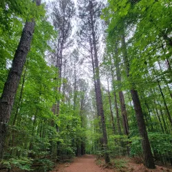 Riverbend Park - Hickory
