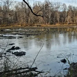 Riverbend Park - Hickory