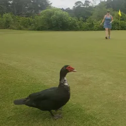 Hope Mills Golf Course - Hope Mills