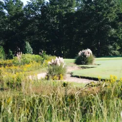 Hope Mills Golf Course - Hope Mills