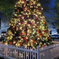 Birkdale Village - Huntersville