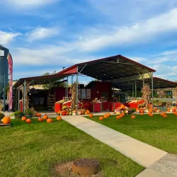 Indian Trail Farmers Market - Indian Trail