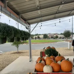 Indian Trail Farmers Market - Indian Trail