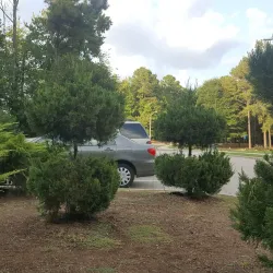 Indian Trail Greenway - Indian Trail