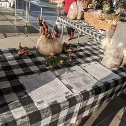 Union County Farmers Market - Indian Trail