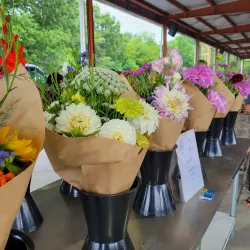 Union County Farmers Market - Indian Trail