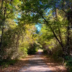 Bear Creek Park - Jacksonville