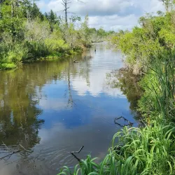 Bear Creek Park - Jacksonville