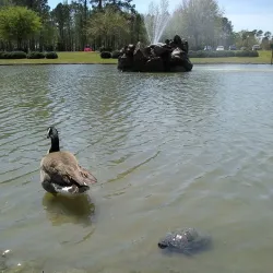 Jacksonville Commons Recreation Complex - Jacksonville