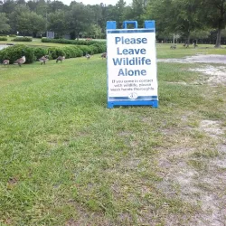 Jacksonville Commons Recreation Complex - Jacksonville