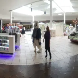 Jacksonville Mall - Jacksonville