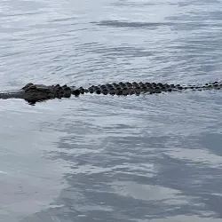 New River Waterfront Park - Jacksonville