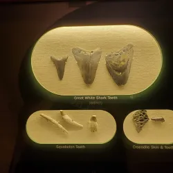 Onslow County Museum - Jacksonville