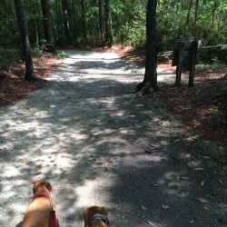 Onslow Pines Park - Jacksonville