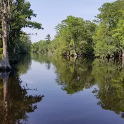 Lumber River State Park - Kenansville