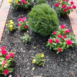 Kernersville Farmers Market - Kernersville