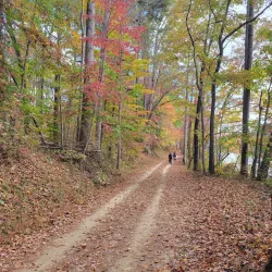 Muddy Creek Greenway - Kernersville