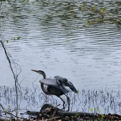 Muddy Creek Greenway - Kernersville