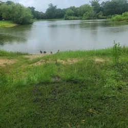 Neuseway Nature Park - Kinston