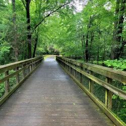 Buffaloe Road Park - Knightdale