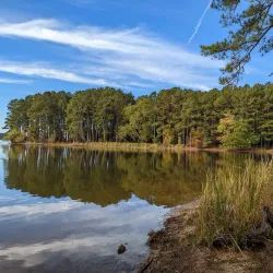 Harris Lake County Park - Knightdale