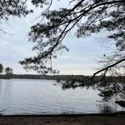 Harris Lake County Park - Knightdale