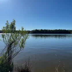 Harris Lake County Park - Knightdale