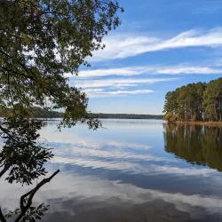 Harris Lake County Park - Knightdale