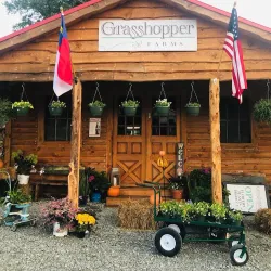 Knightdale Farmers Market - Knightdale