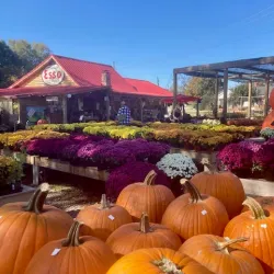 Knightdale Farmers Market - Knightdale