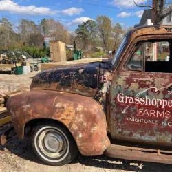 Knightdale Farmers Market - Knightdale