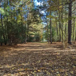 Knightdale Station Trail - Knightdale