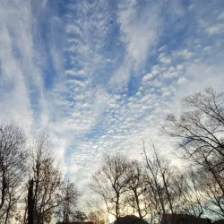 Neuse River Greenway Trail - Knightdale
