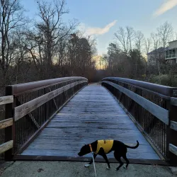 Neuse River Greenway Trail - Knightdale