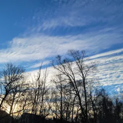 Neuse River Greenway Trail - Knightdale