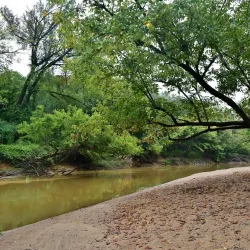 Neuse River Greenway Trail - Knightdale