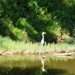 Neuse River Greenway Trail - Knightdale