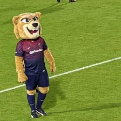 WakeMed Soccer Park - Knightdale