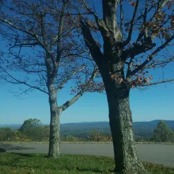 Blue Ridge Parkway - Lenoir