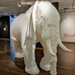 Hickory Museum of Art - Lenoir