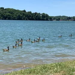 Lenoir City Park - Lenoir